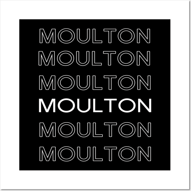 Seth Moulton 2020 US Presidential Candidate Election Wall Art by familycuteycom